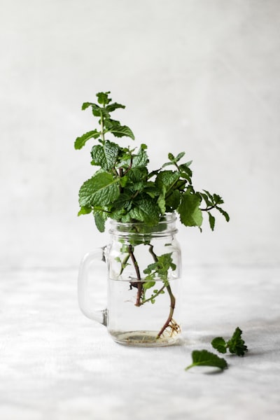 Mint Leaves